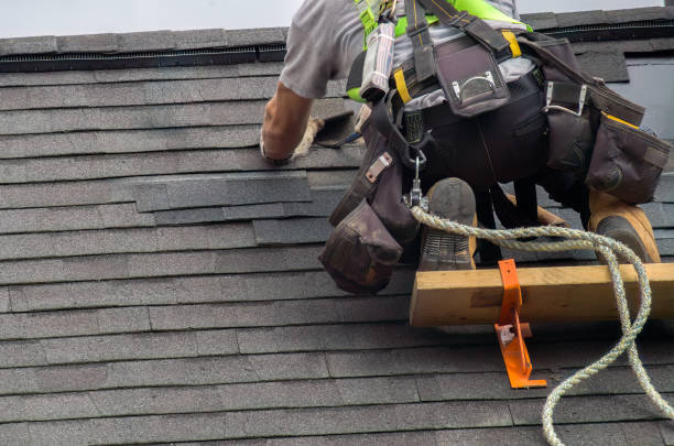 Best Roof Gutter Cleaning  in Haworth, NJ